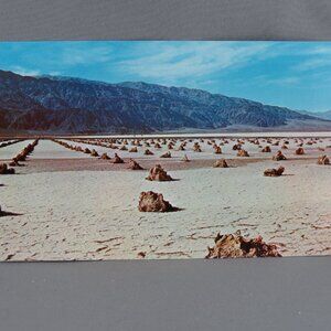Share Vintage Postcard - The Borax Flats Death Valley - Dexter Press